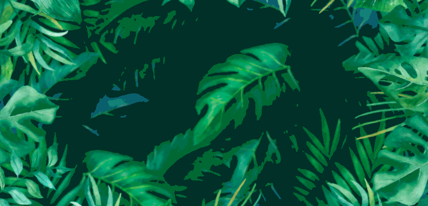Vital Concept - Remises sur commandes Bénéficiez de remises Vital Concept