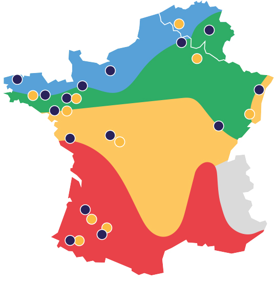 Résultats de semences de Maïs 2020