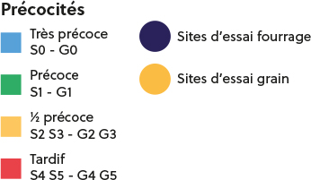 Résultats de semences de Maïs 2020