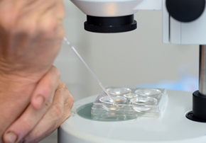 analyse coprologique bovins