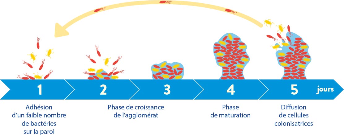 Ce qu’il faut choisir pour l’installation des bacs d’abreuvement Ce qu’il faut choisir pour l’installation des bacs d’abreuvement