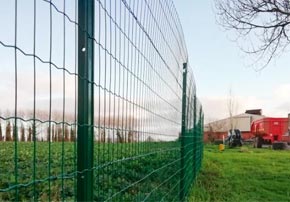 Biosécurité : Quelle clôture en élevage porcs ?