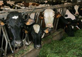 conservateur agricole