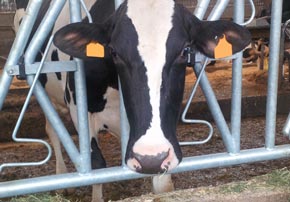 conservateur agricole