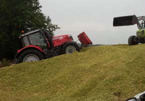 Conservation des ensilages de mais