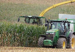 Le conservateur d’ensilage maïs : à quoi ça sert ?