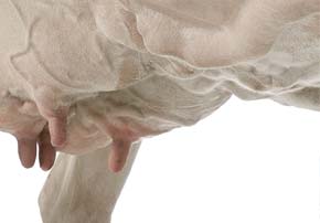 biocide elevage