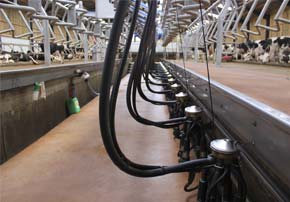 changer ses manchons de traite