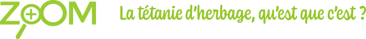 Ovins : Comment bien réussir la mise à l'herbe de mon troupeau ? Ovins : Comment bien réussir la mise à l'herbe de mon troupeau ?